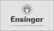 tl_files/kunden/ueberregional mit hover/ensinger_logo.png